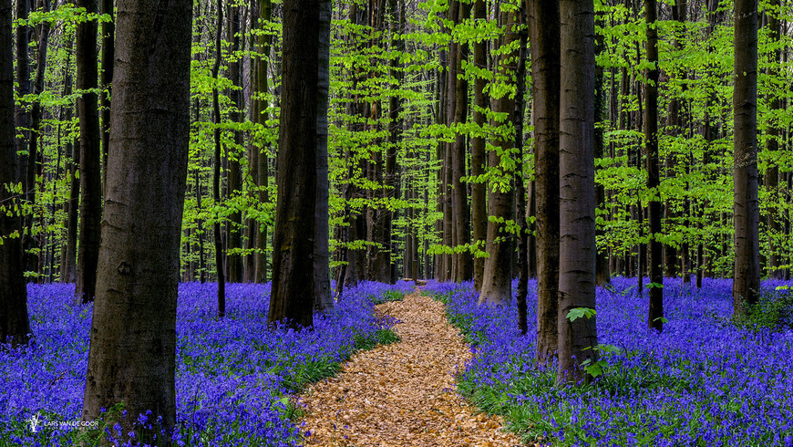 Fotograf Lars van de Gor 13