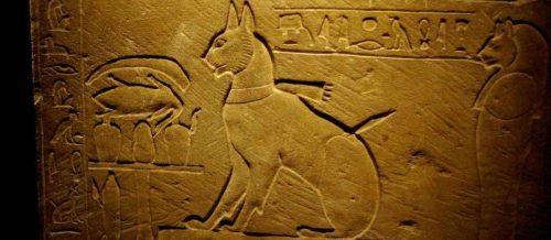 http://archeonews.ru/wp-content/uploads/2017/04/cats_egipt-803x350-e1491988345979.jpg