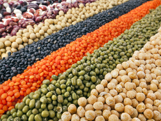 ���, ����� � ������. ��� �������� ���� � ����