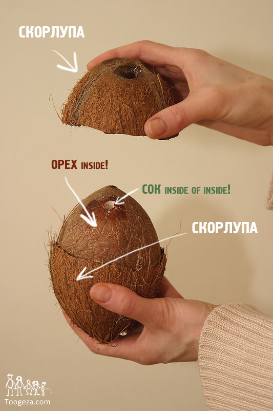 Кокос раздора (Психиатрические байки). Кокос раздора (Психиатрические байки).