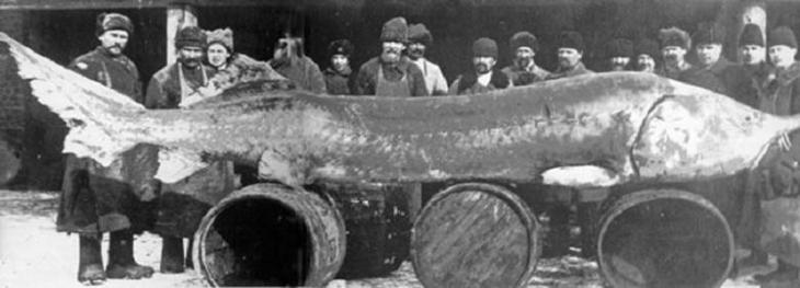 Интересные факты о Каспийском море Интересные факты о Каспийском море