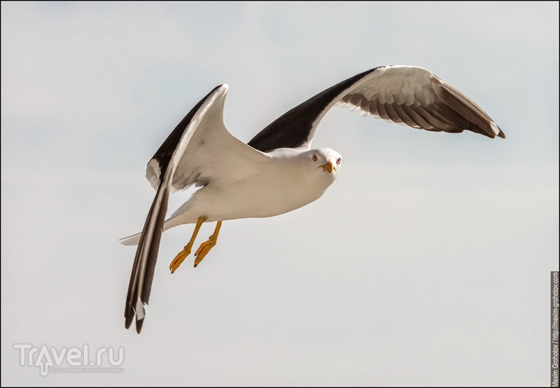 ������. ��������� ����� / ���� �� ������