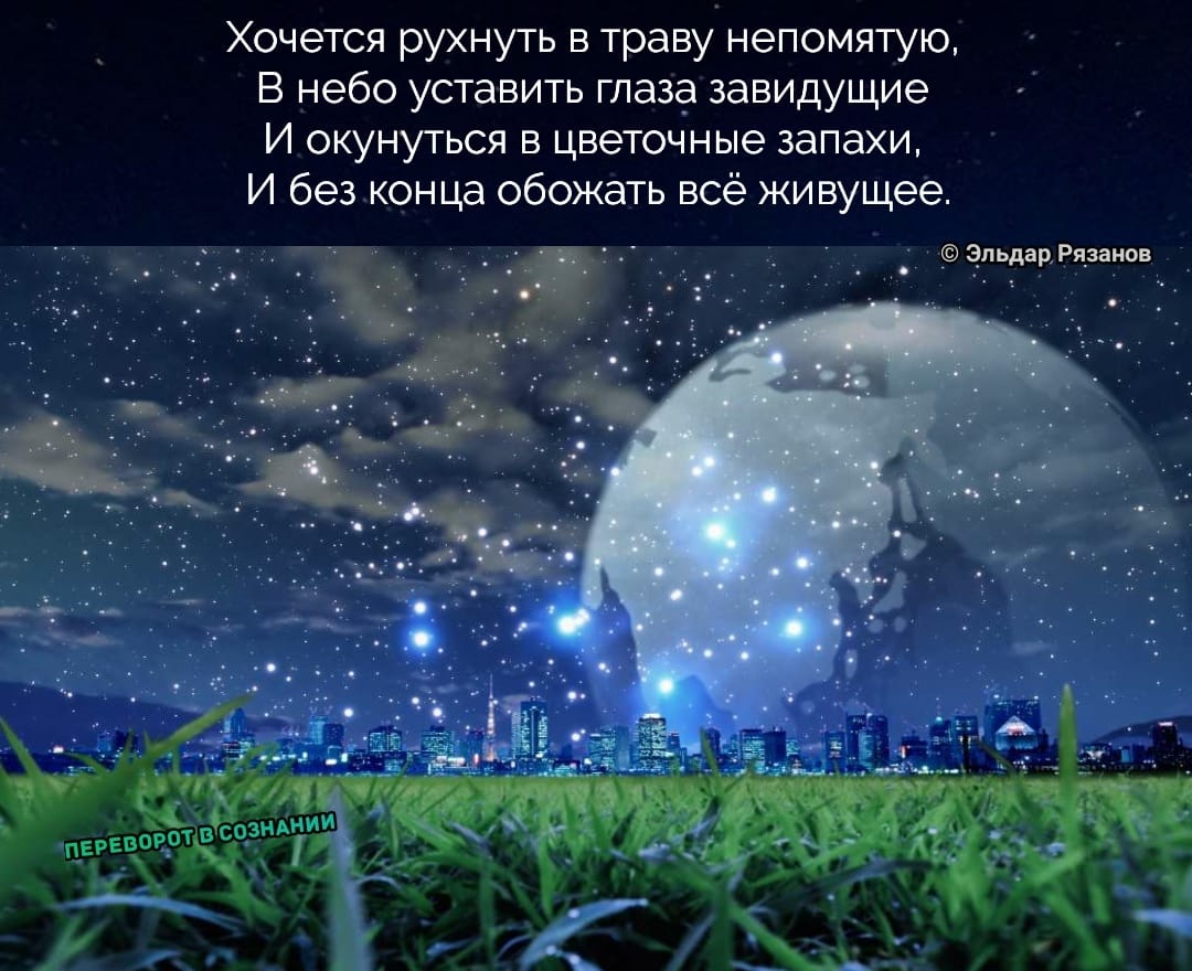 Загадочные шумеры. Как они жили, во что верили и как повлияли на современный мир