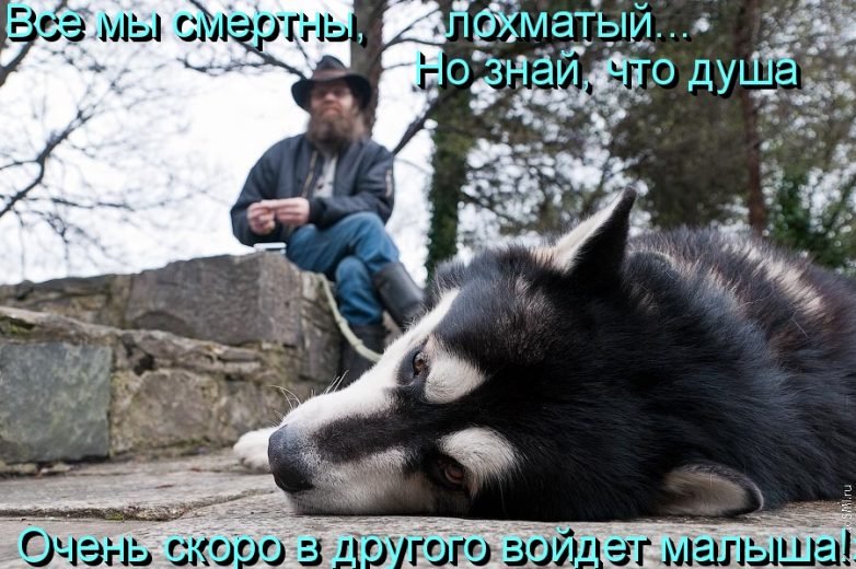 Дружба навеки