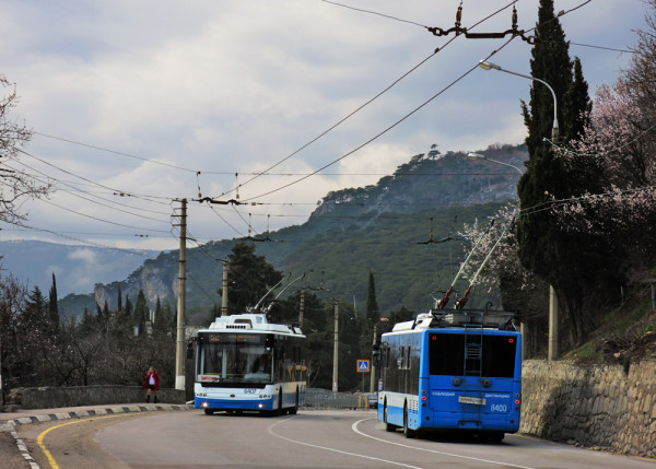 В Крыму временно отменили льготы для пенсионеров