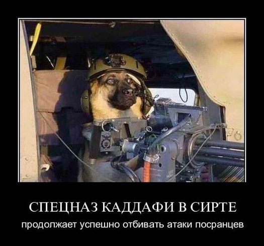 Демотиваторы, правильный фотограф... Демотиваторы, правильный фотограф...
