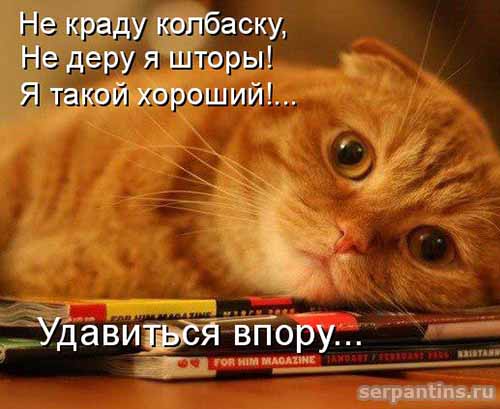слишком хороший
