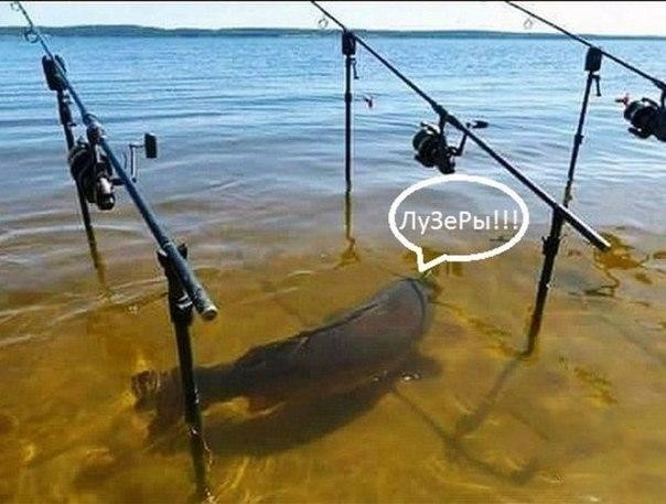 Очередная порция картинок с подписями и без Очередная порция картинок с подписями и без картинки с подписями, подборка, позитив