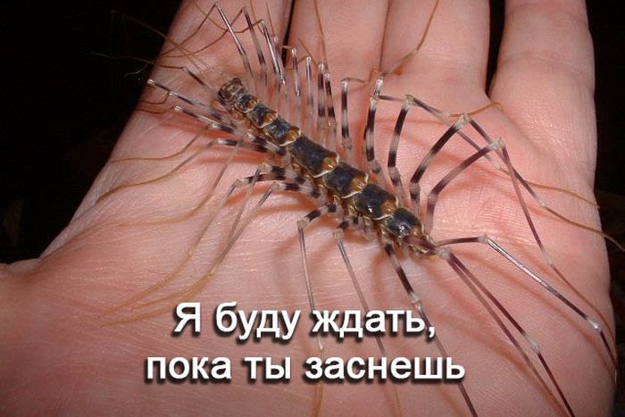 Немного юмора Немного юмора