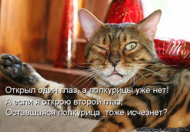Лучшие котоматрицы за прошедшую неделю)) Лучшие котоматрицы за прошедшую неделю))