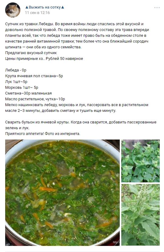 Как люди выживают на 100 рублей Как люди выживают на 100 рублей