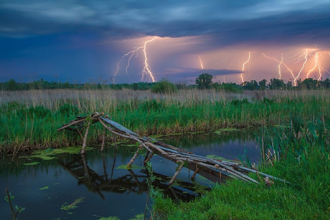 Лучшее с АdMe Photo Awards 2014 за неделю