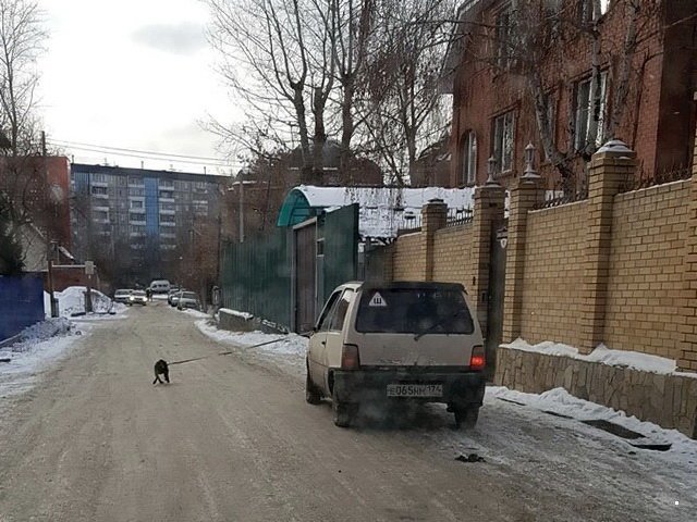 Автовсячина Автовсячина Автовсячина, авто, автомобиль, автоприкол, машина, прикол
