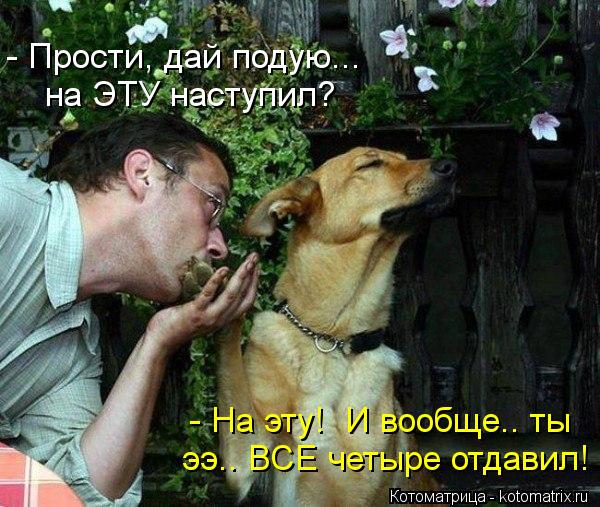 - Прости, дай подую... на ЭТУ наступил? - На эту! И вообще.. ты ээ.. ВСЕ четыре отдавил!... Котоматрица: - Прости, дай подую... на ЭТУ наступил? - На эту! И вообще.. ты ээ.. ВСЕ четыре отдавил!
