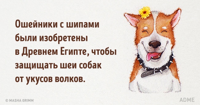 20 абсурдных фактов, которые на самом деле чистая правда