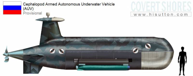 Подводный беспилотник «Цефалопод»: зарубежный взгляд