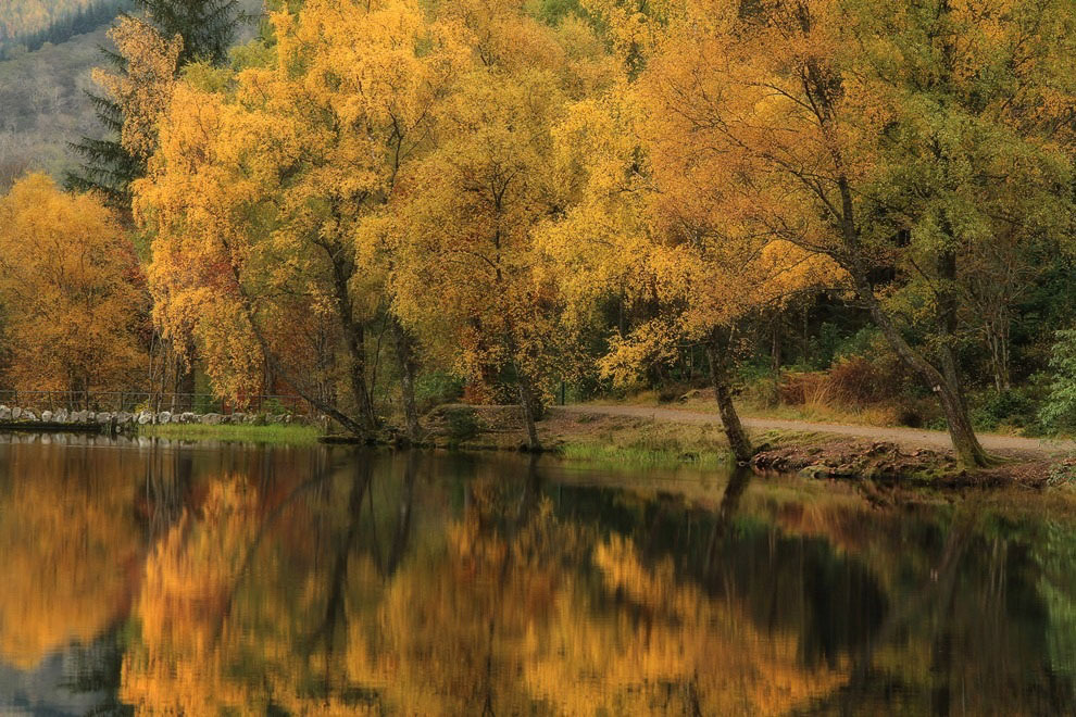 Фото Роджера Меррифилда Фото Роджера Меррифилда