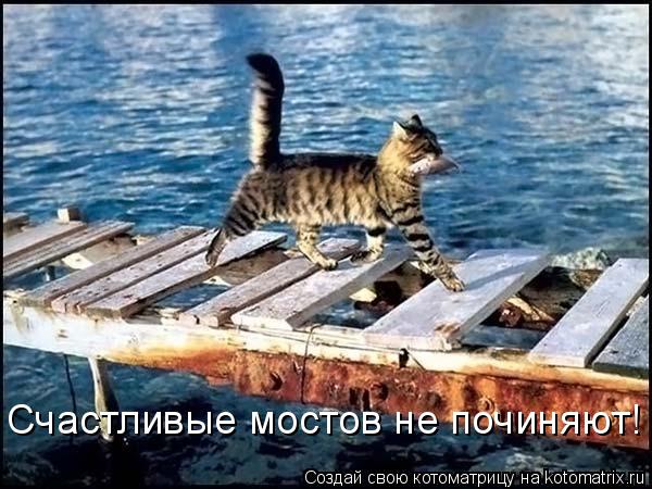 Мысли вслух :)