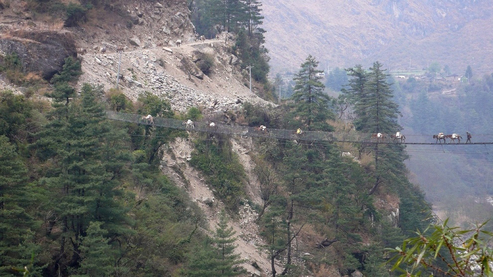 Insane Hanging Bridges 6     