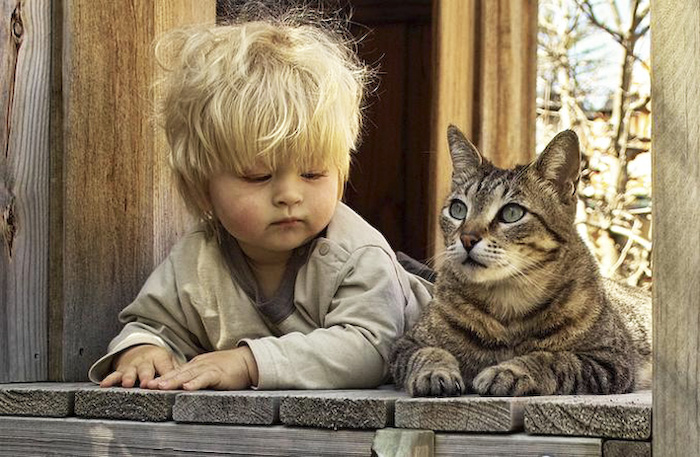 75494532_large_short_pets_and_kids