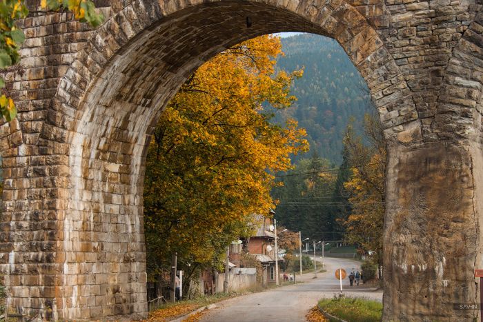 Осень в Крыму и Карпатах (103 фото)