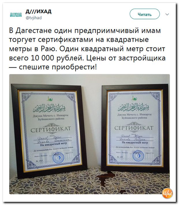 Обо всем понемногу с юмором и ехидными комментариями Обо всем понемногу с юмором и ехидными комментариями