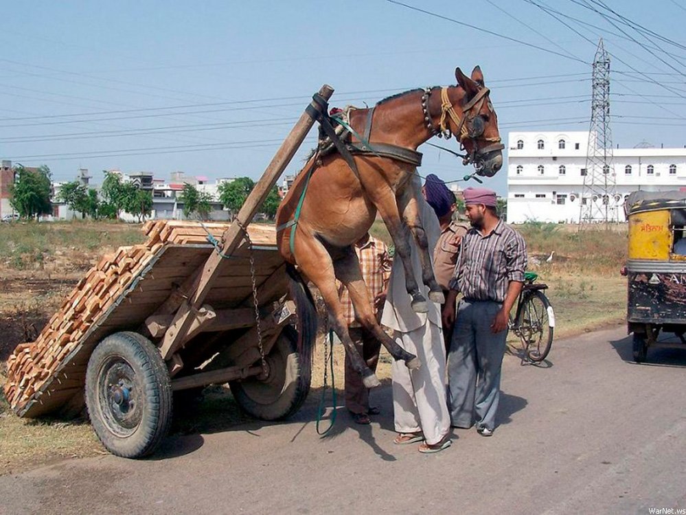 PAKISTAN/