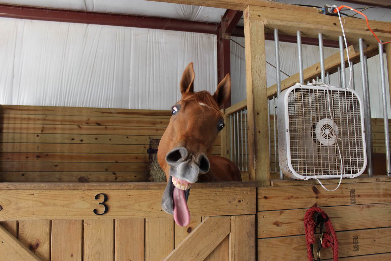 интересные фото на pixmafia.com