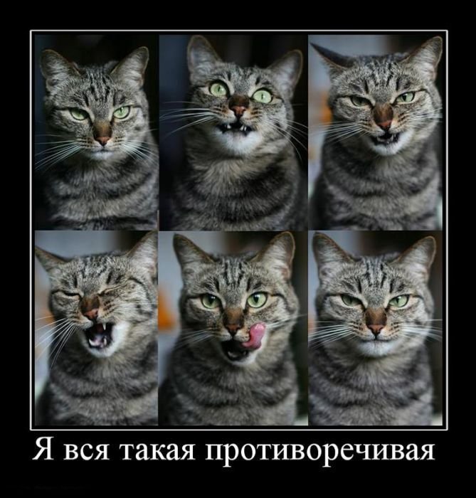 Анекдотики кортенькие, но симпатишные в вперемешку с демками Анекдотики кортенькие, но симпатишные в вперемешку с демками