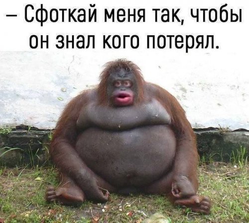 Прикольные картинки для хороших выходных (35 шт) Прикольные картинки для хороших выходных (35 шт)