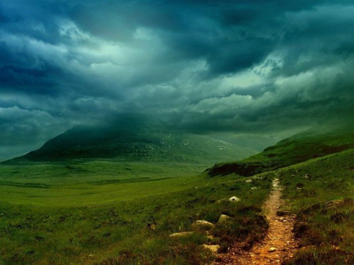 фото, красота, особенность