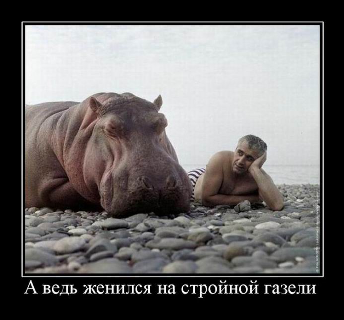 Подогрев настроения Подогрев настроения