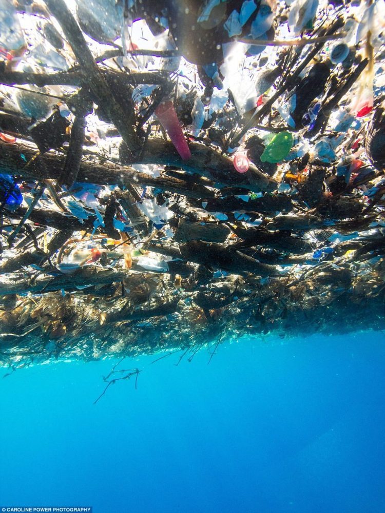 Шок! Райские Карибские острова утопают в мусоре