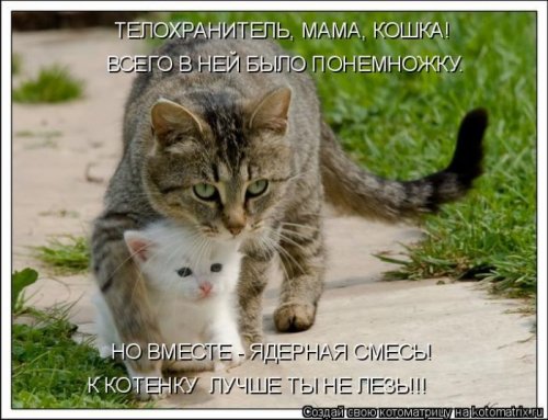 Веселая котоматрица свежак!