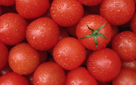 18 хитростей, которые помогут продлить срок хранения продуктов 18 хитростей, которые помогут продлить срок хранения продуктов