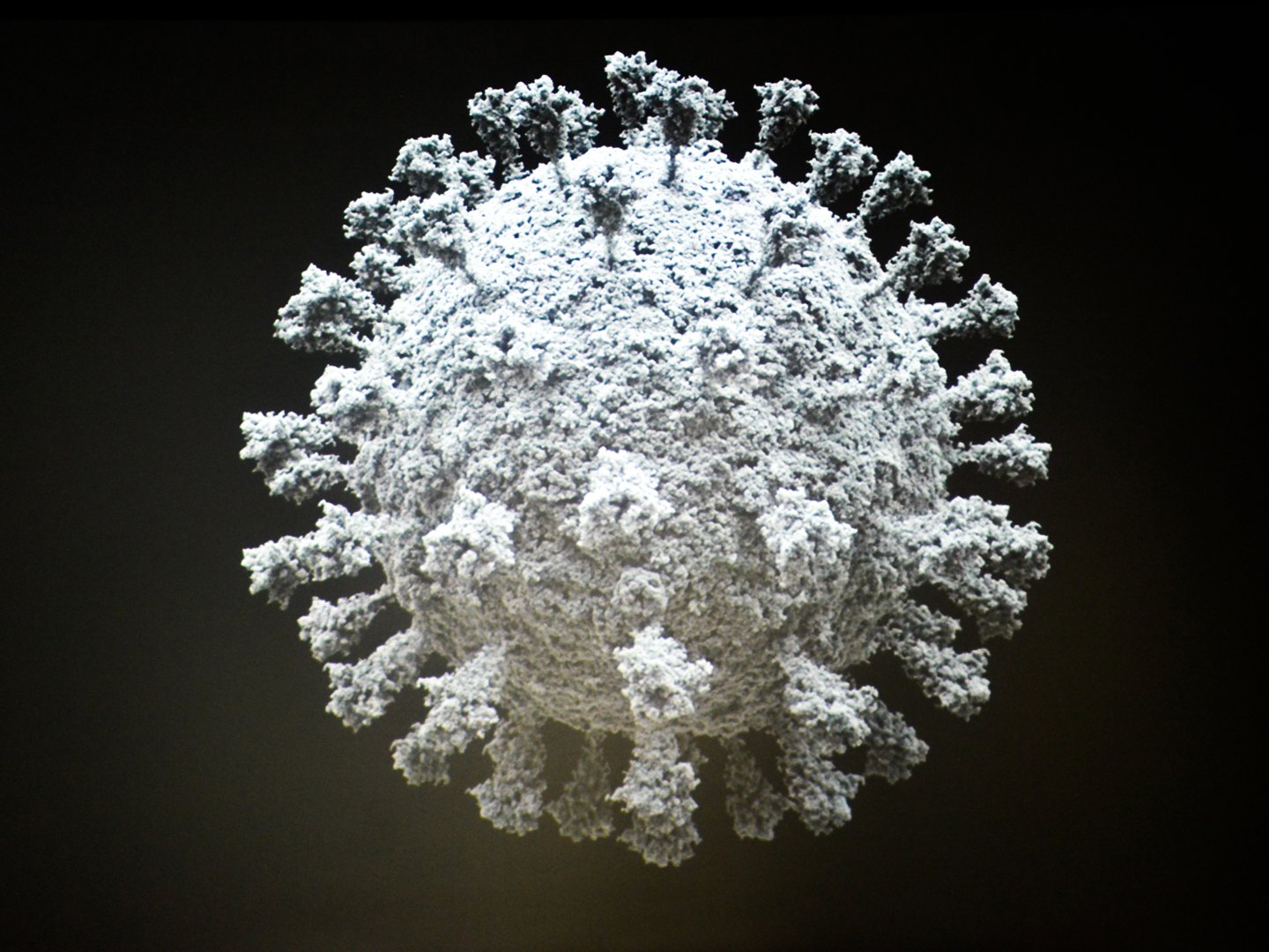 В Роспотребнадзоре разработали тест на определение 25 респираторных вирусов