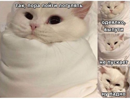 Пятничные анекдоты (11 шт) Пятничные анекдоты (11 шт)