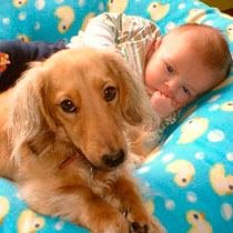 Домашний питомец в жизни ребенка