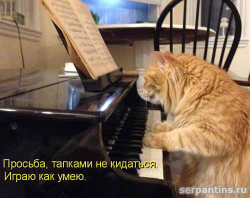 играю как умею