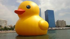 интересное, фото, факты