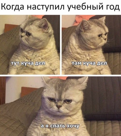 Прикольные картинки (30 фото) Прикольные картинки (30 фото)
