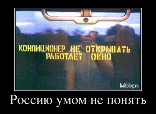 Размещенное изображение