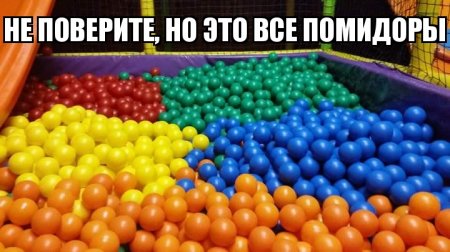Поржачная солянка! #85