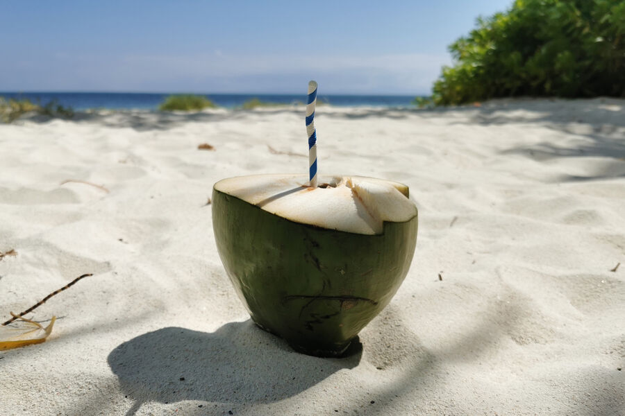 Врач перечислил противопоказания к кокосовому молоку