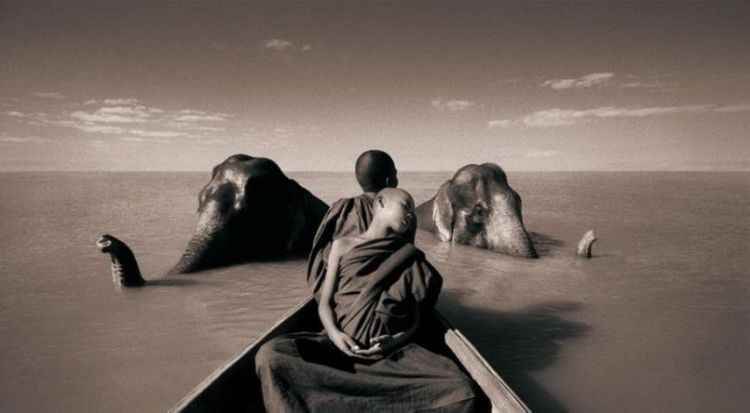 Люди и животные в фотографиях Gregory Colbert