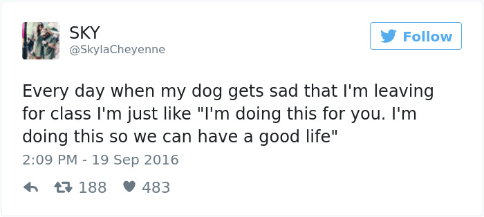 Dog Tweets