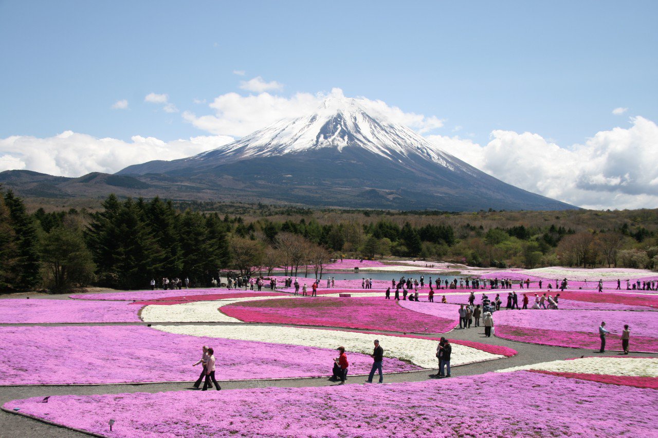 Многоликая Фудзияма: серия снимков священной горы от разных фотографов 