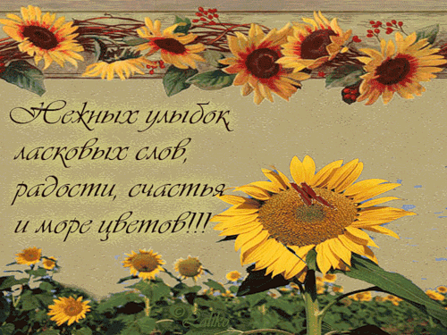 Улыбка лета пожелание Улыбка лета пожелание
