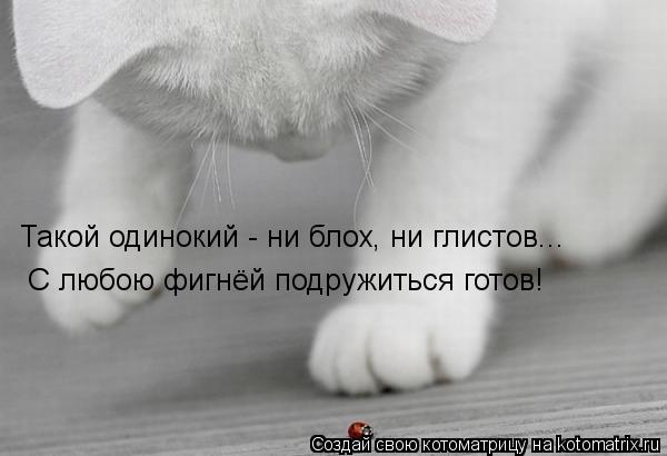 Котоматрица: Такой одинокий - ни блох, ни глистов... С любою фигнёй подружиться готов!