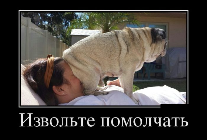 Свежие демотиваторы для веселого настроения (11 фото) Свежие демотиваторы для веселого настроения (11 фото)
